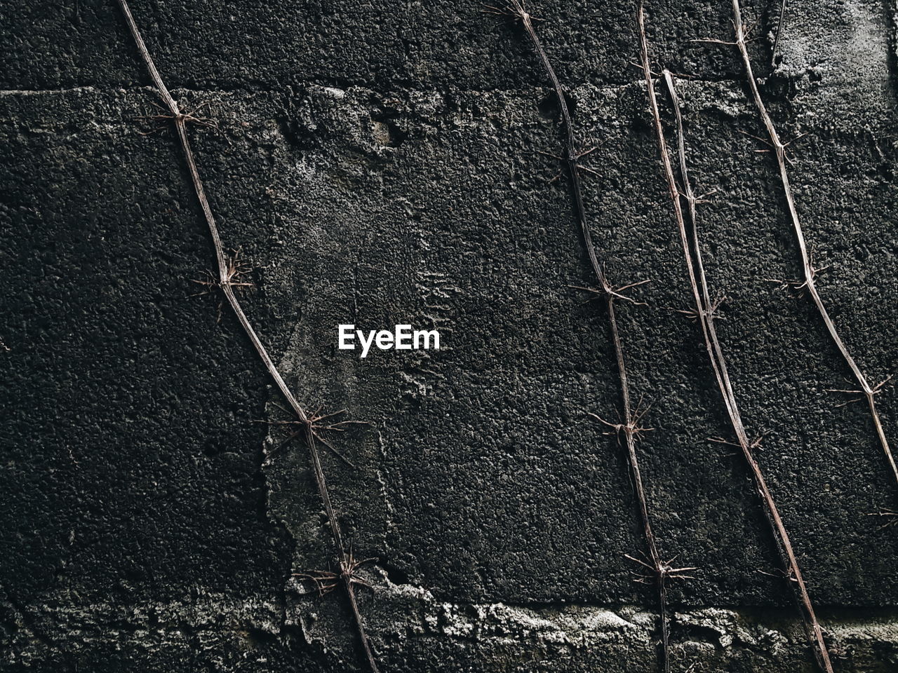 Full frame shot of wall