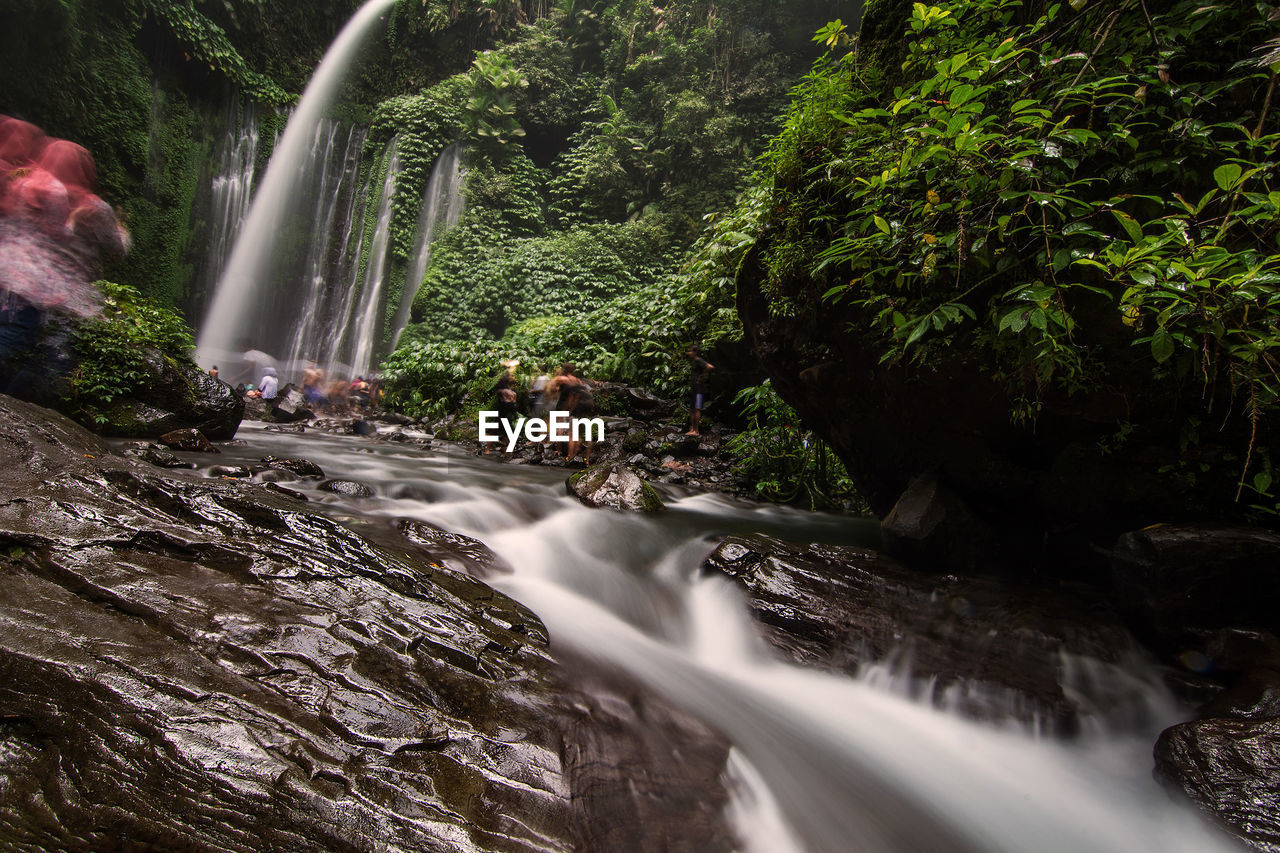 WATERFALL IN FOREST