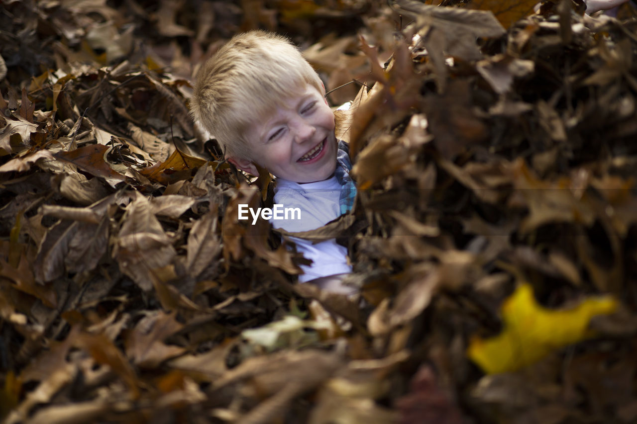 Cheerful boy lying amidst fallen dry leaves during autumn