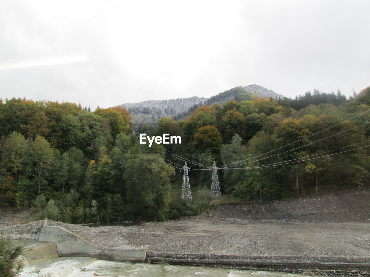 Electricity pylons against trees on landscape