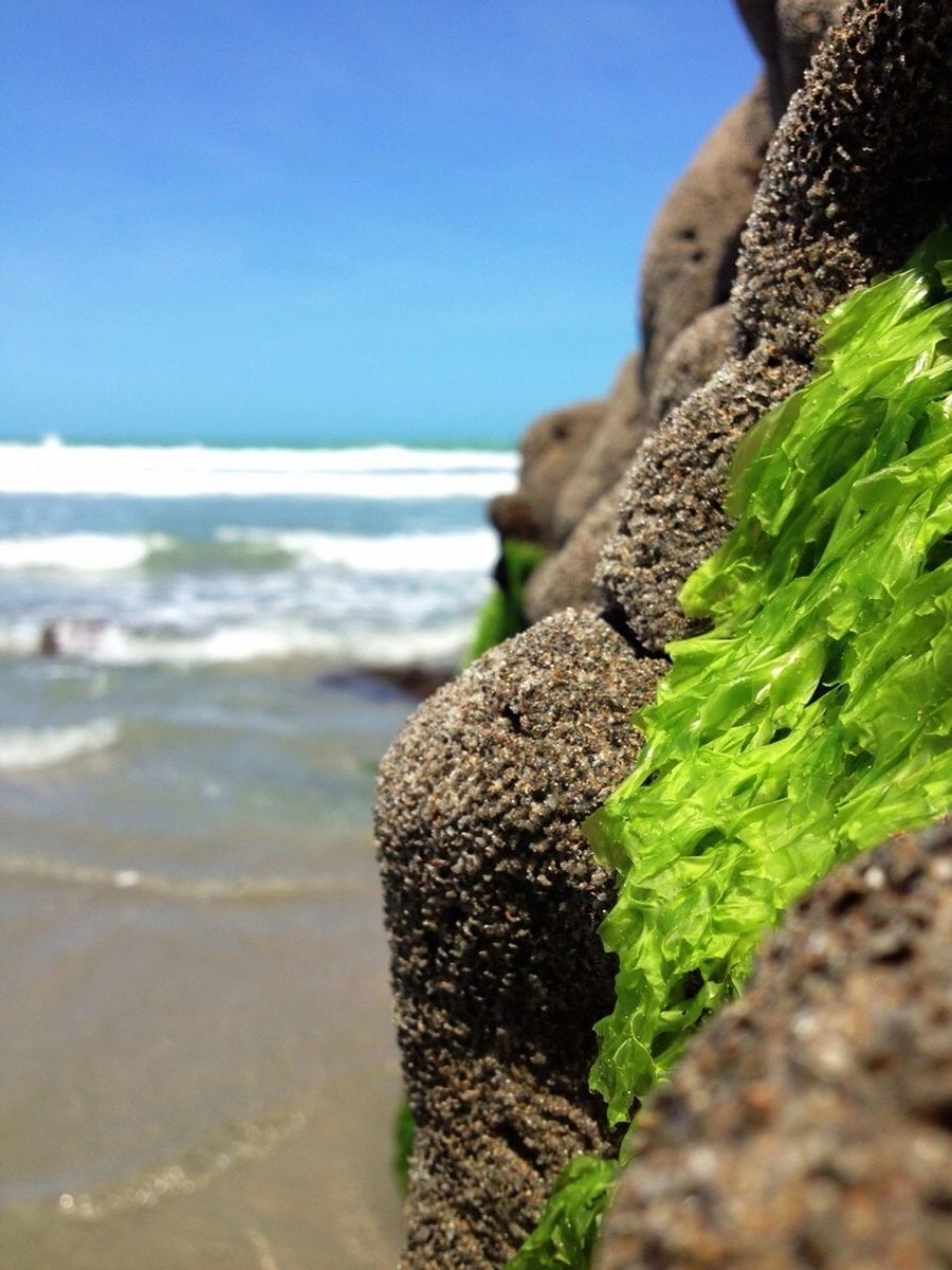 Close-up of rocks