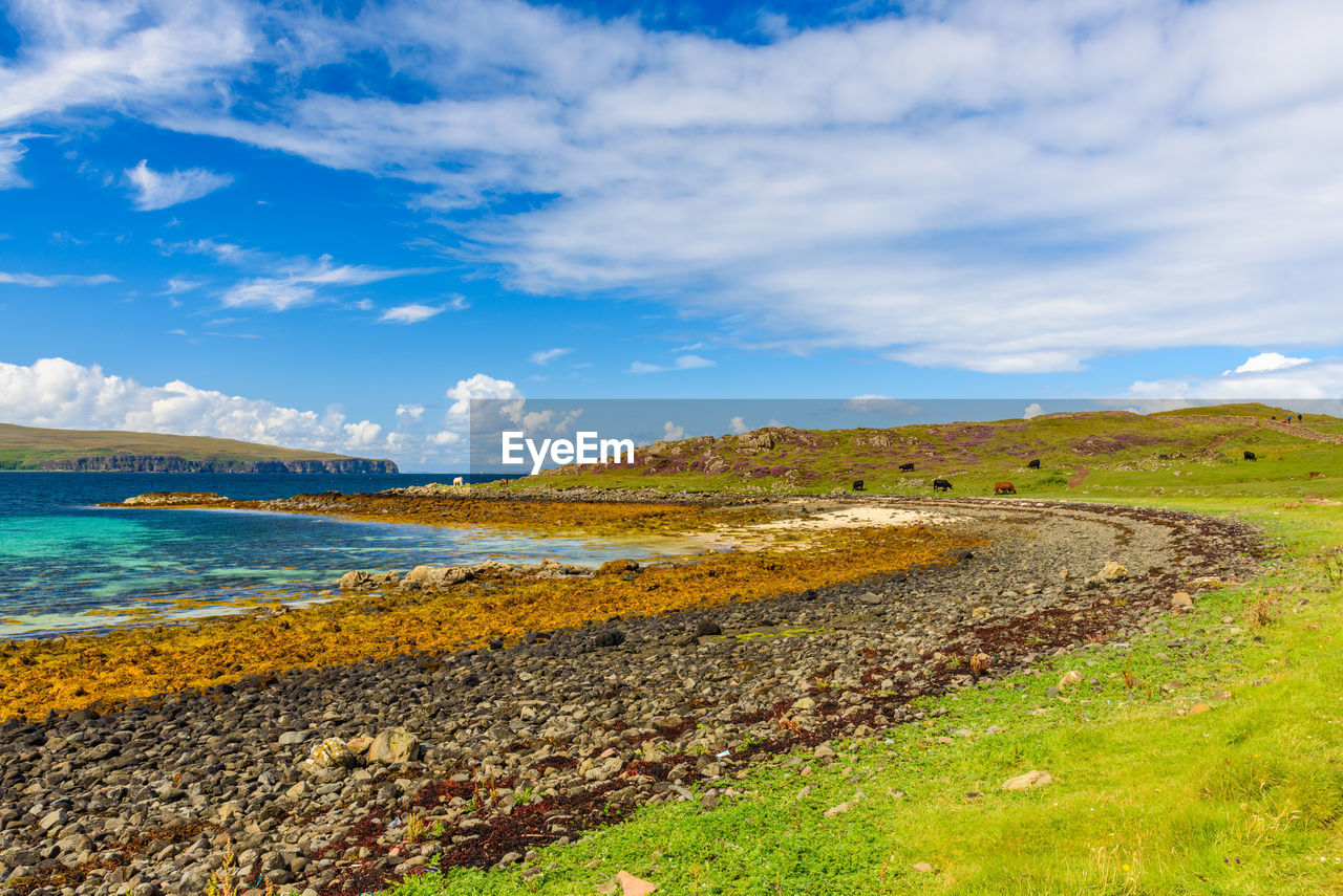 SCENIC VIEW OF SEA BY SHORE AGAINST SKY