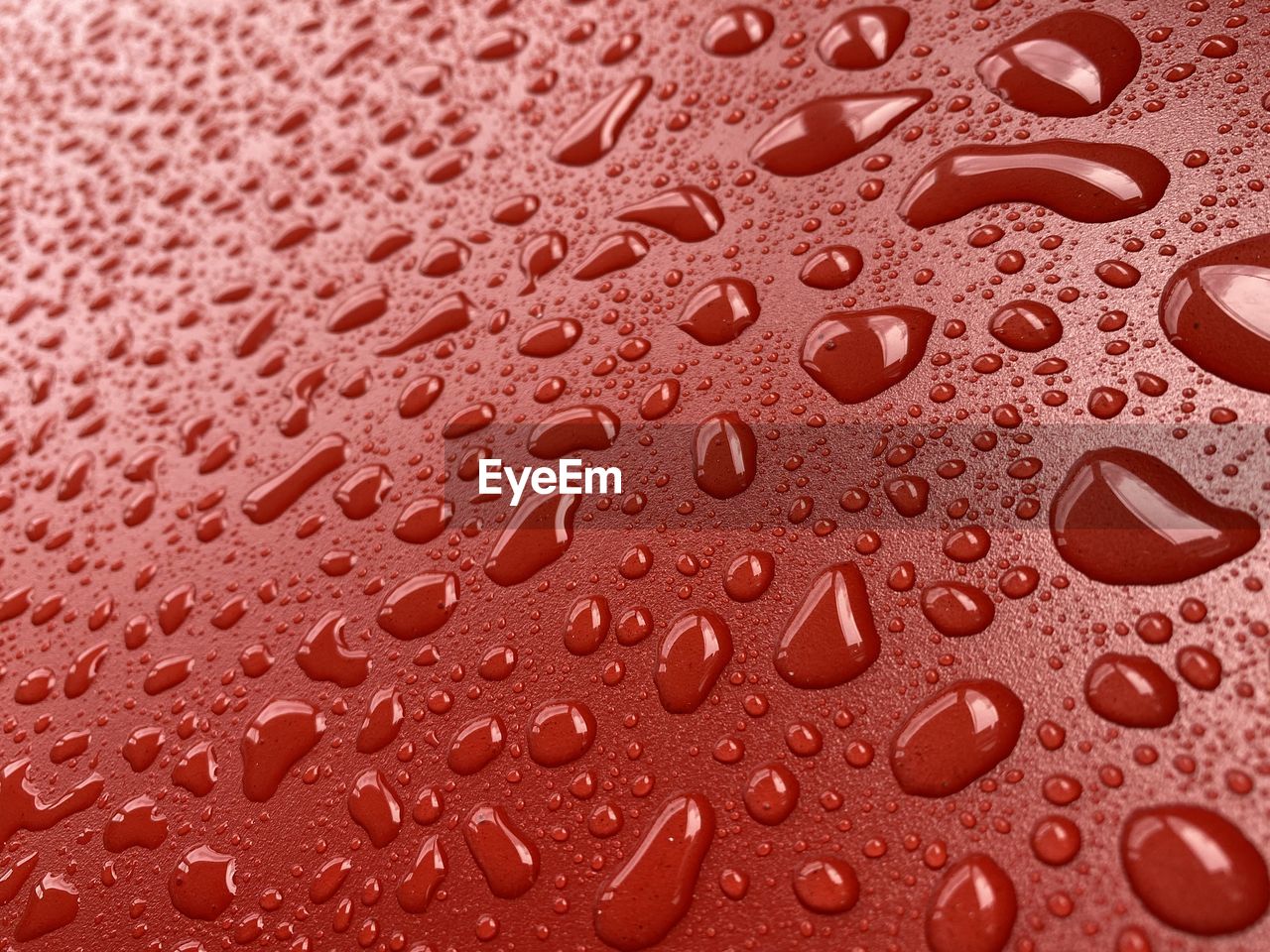 Droplets on a red surface