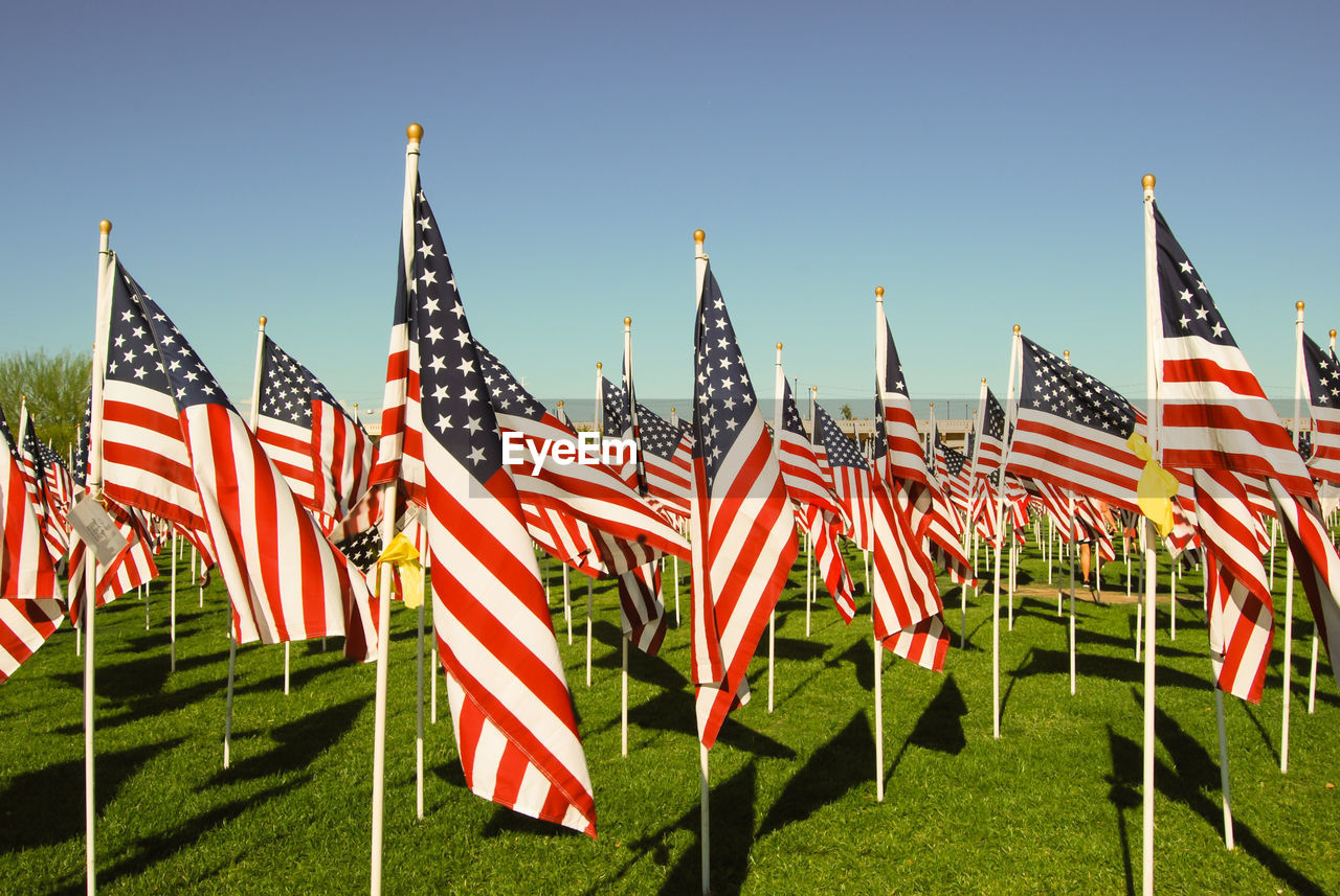 American flags on field against clear sky during sunny day