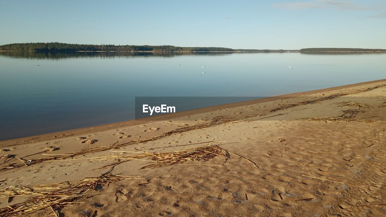 SCENIC VIEW OF BEACH