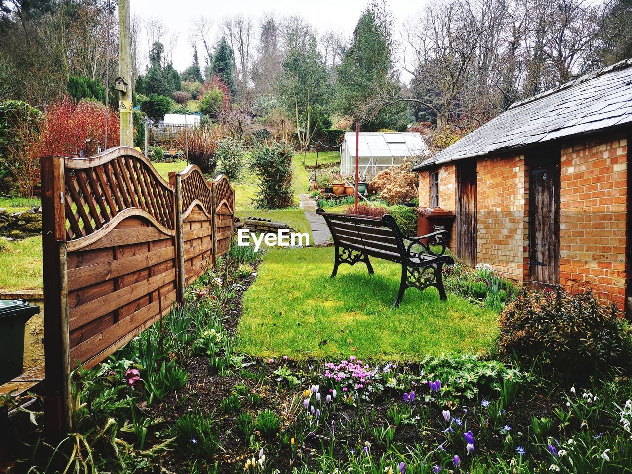 PLANTS AND CHAIRS ON FIELD BY HOUSE