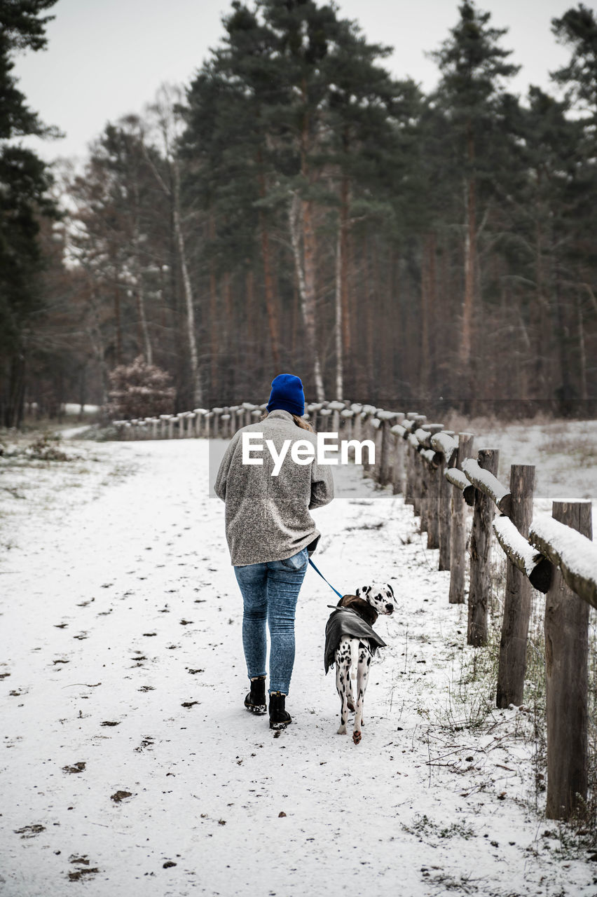 Young woman with dalmatian walks in snowy forest