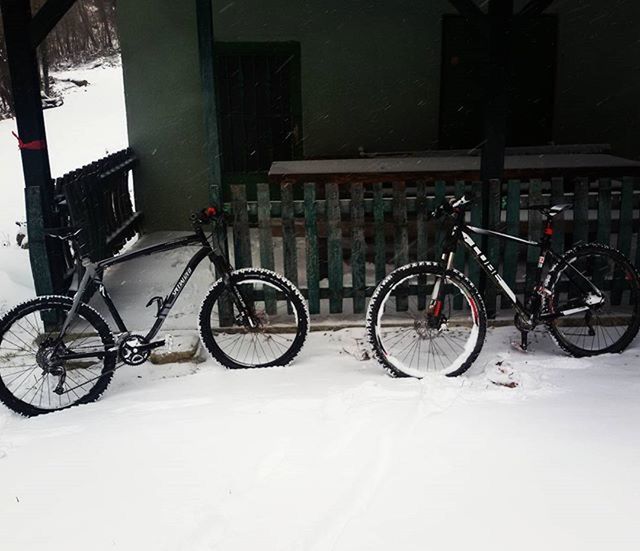 BICYCLES PARKED ON BICYCLE