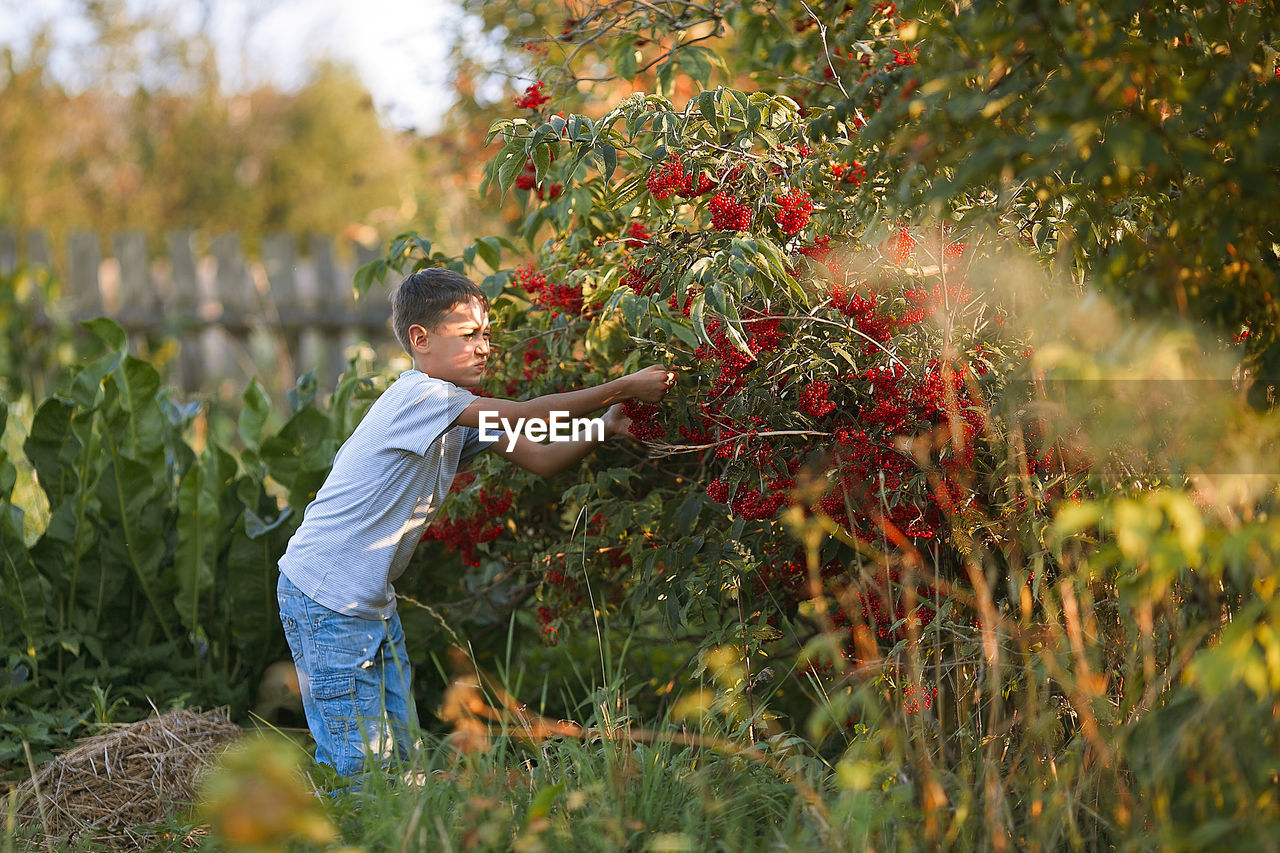 FULL LENGTH OF BOY STANDING IN FARM