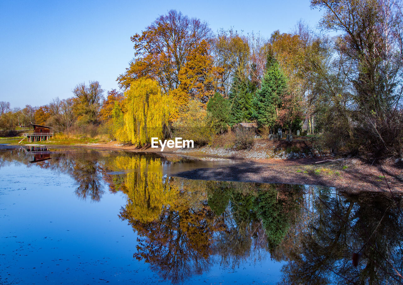 Scenic view of lake by trees against sky