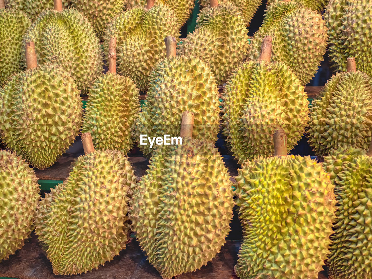 The pile of fresh durians in the durian market.