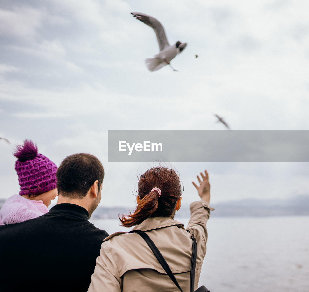 REAR VIEW OF MEN WITH SEAGULLS FLYING OVER SEA