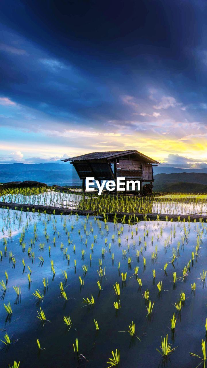 Scenic view stilt house over agriculture field against cloudy sky