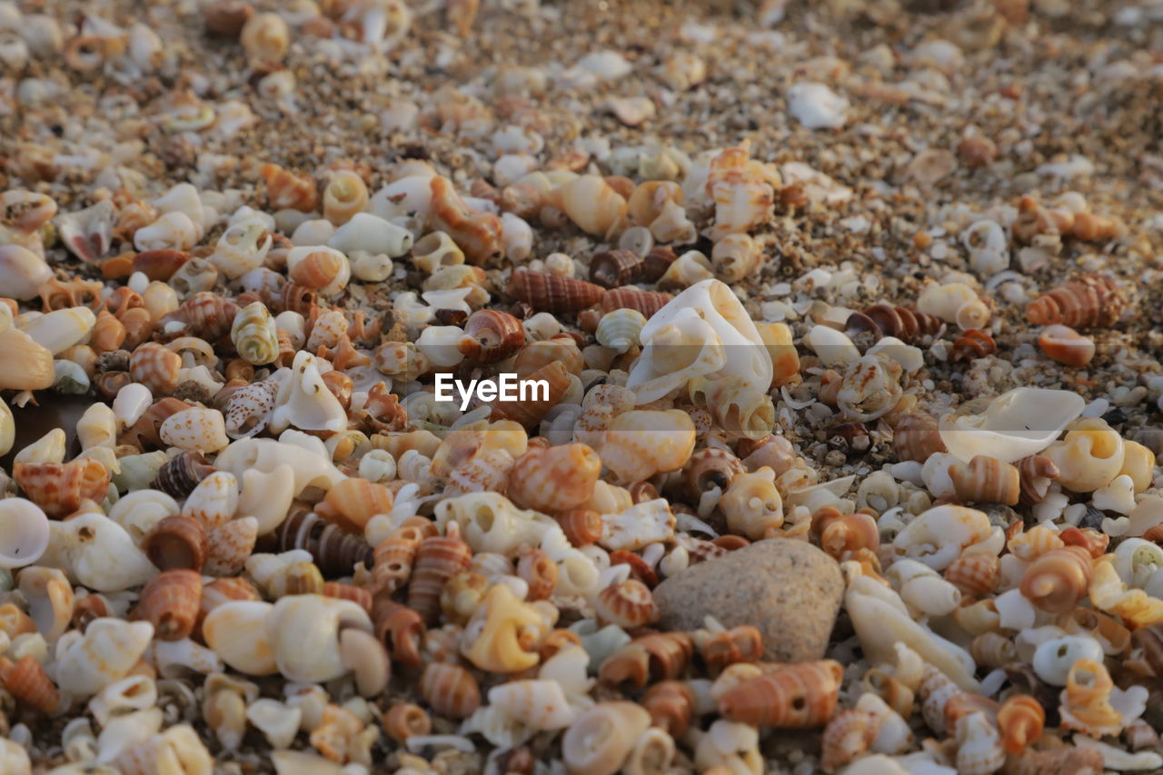 Full frame shot of pebbles on beach