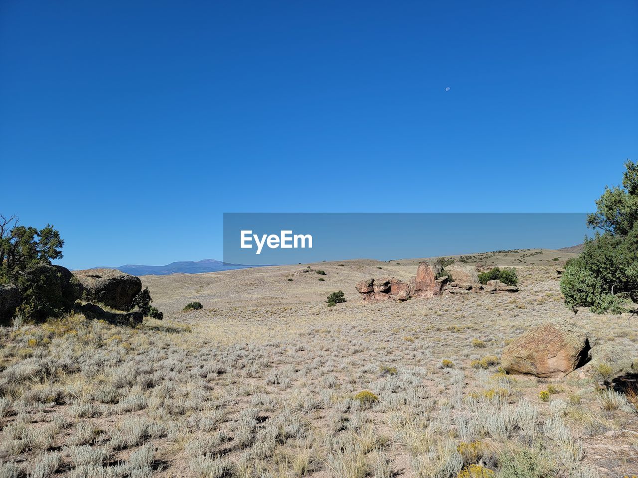 SCENIC VIEW OF DESERT AGAINST BLUE SKY