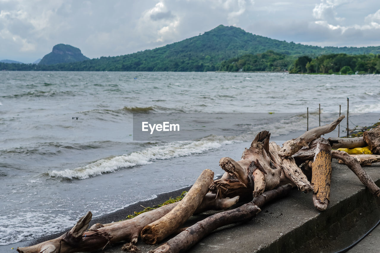 water, shore, land, sea, beach, nature, coast, driftwood, sky, wood, cloud, scenics - nature, environment, tree, travel destinations, no people, nautical vessel, beauty in nature, body of water, tranquility, travel, day, coastline, outdoors, transportation, ocean, mountain, tranquil scene, timber, sand, landscape, rock, animal, animal wildlife, log, plant, non-urban scene, vehicle, tourism