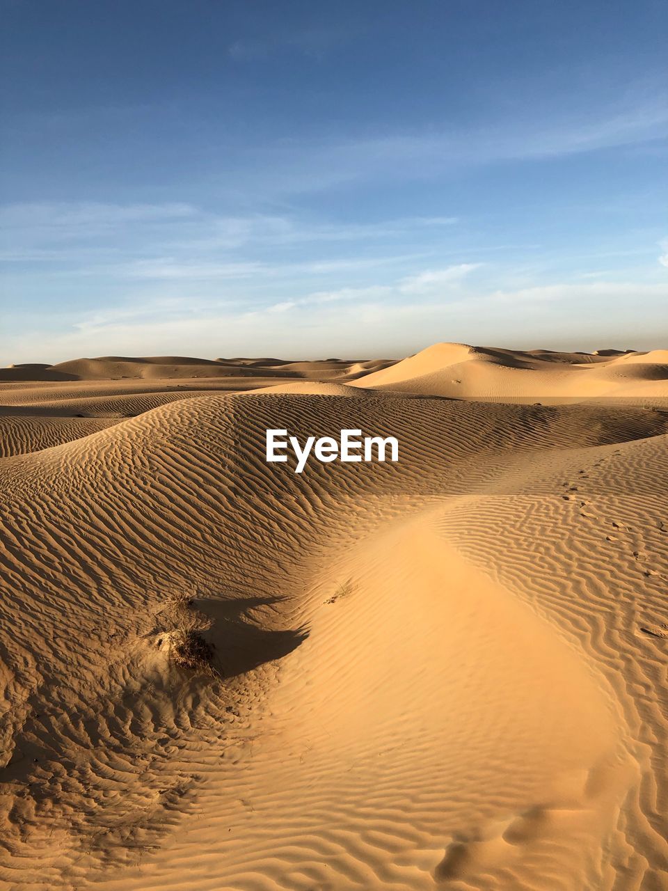 Sand dunes in desert against sky