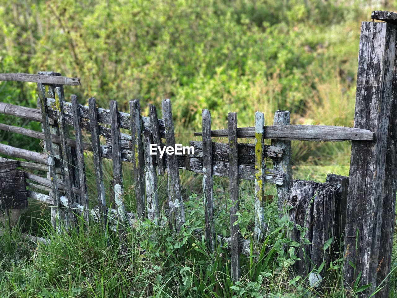 Close-up of wooden post on field