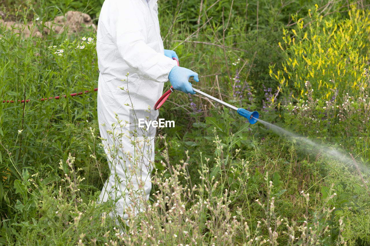 Worker in protective work wear spraying herbicide on ragweed. hay fever concept.