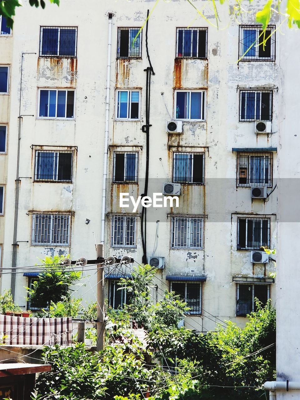 LOW ANGLE VIEW OF POTTED PLANTS ON BUILDING