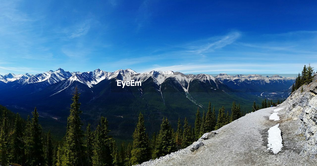 Trees against snow capped mountains