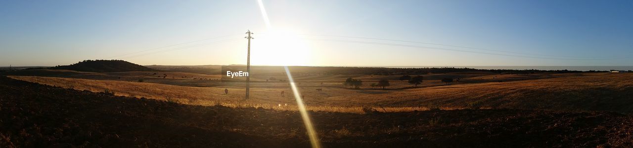 Scenic view of landscape at sunset