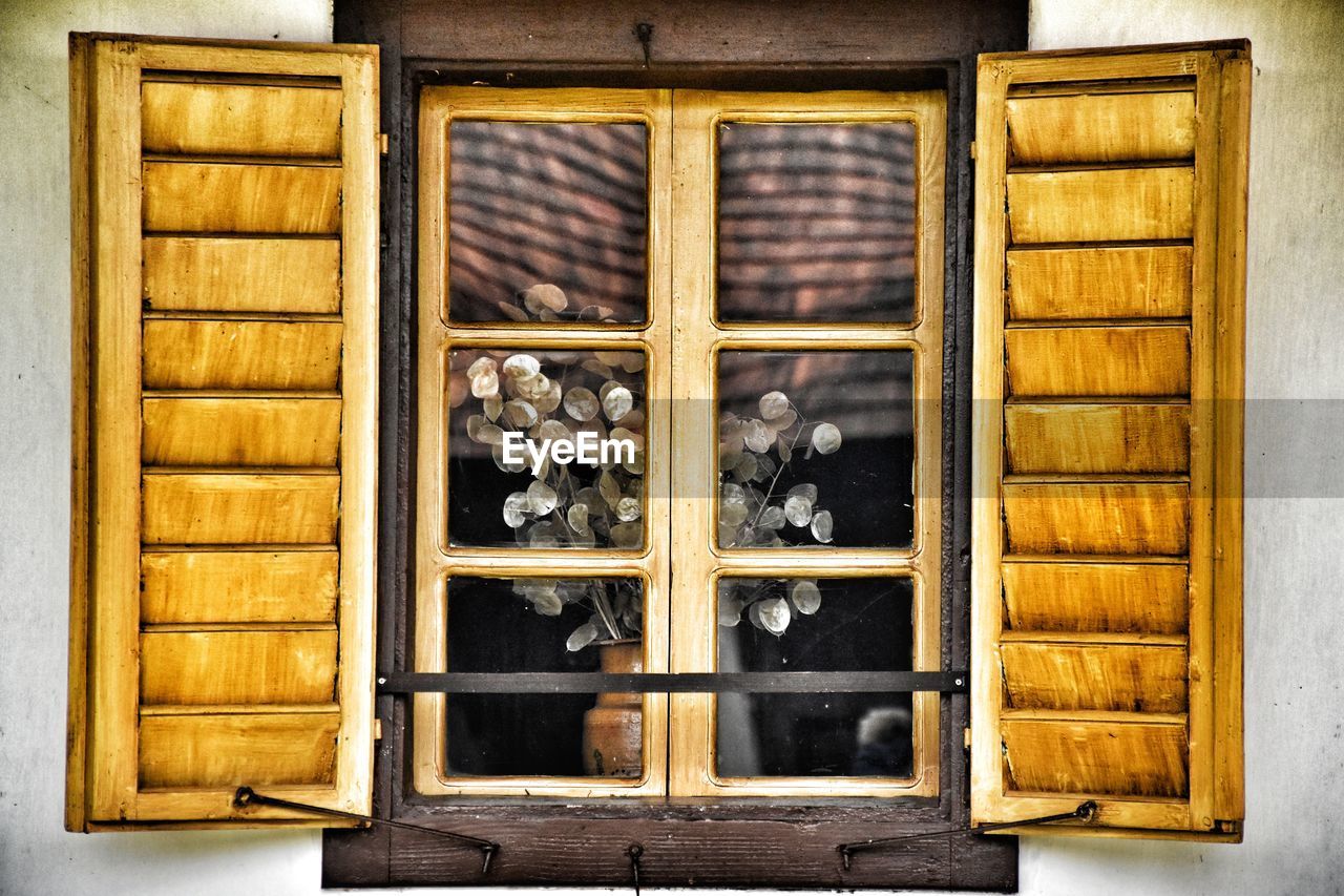 CLOSE-UP OF STORE WINDOW IN SHOP