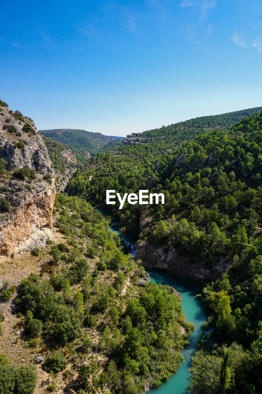 SCENIC VIEW OF FOREST AGAINST SKY