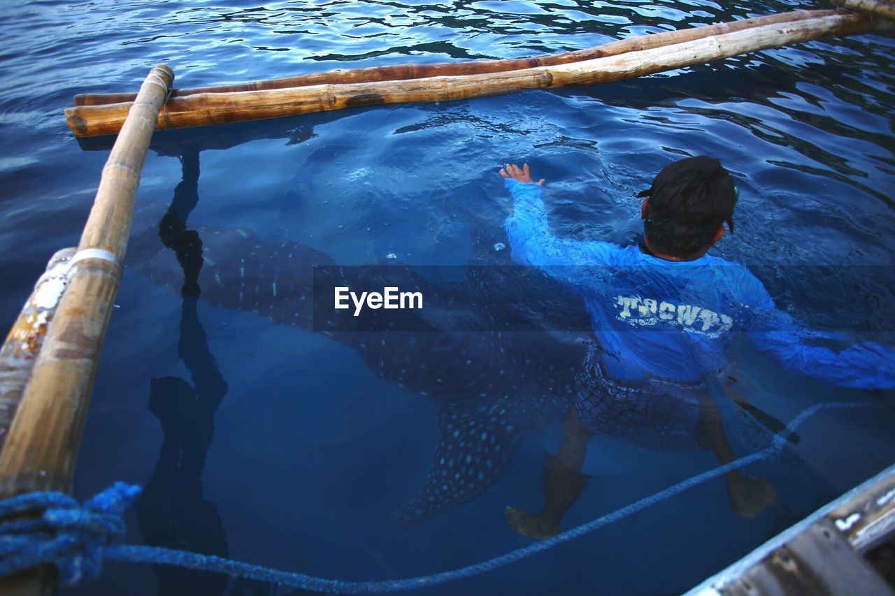 High angle view of man by whale shark swimming in sea