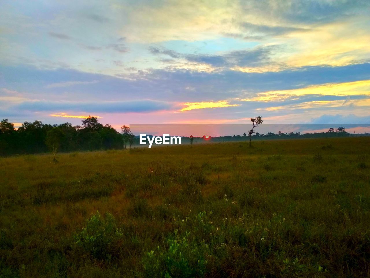 SCENIC VIEW OF FIELD AGAINST SKY AT SUNSET