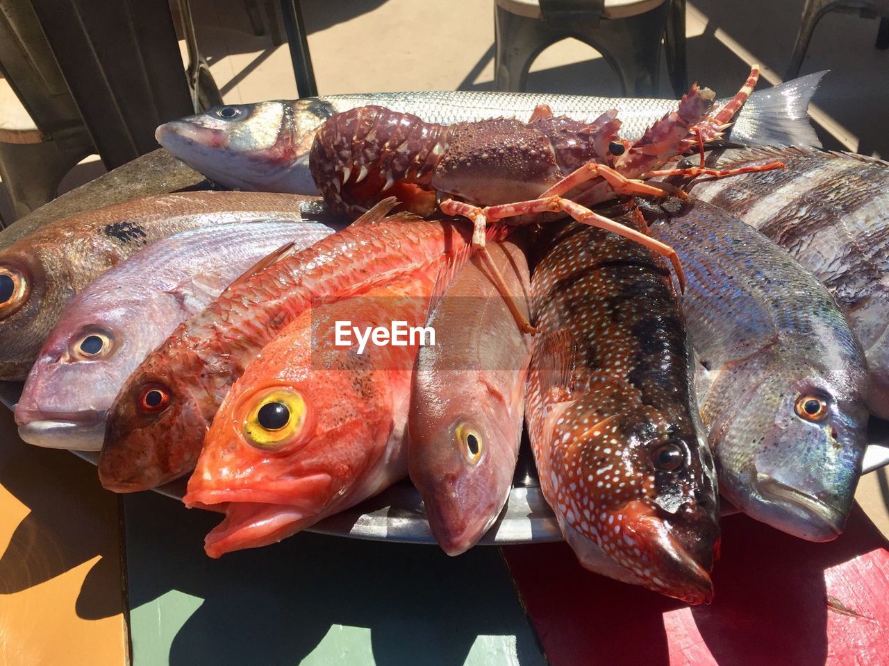 HIGH ANGLE VIEW OF FISH FOR SALE AT MARKET