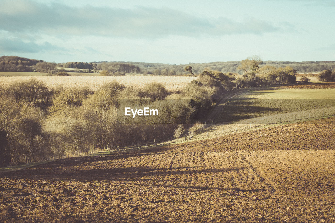 FIELD AGAINST SKY