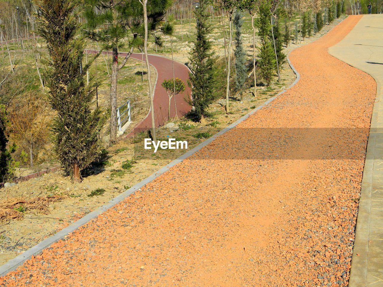 EMPTY ROAD BY TREES