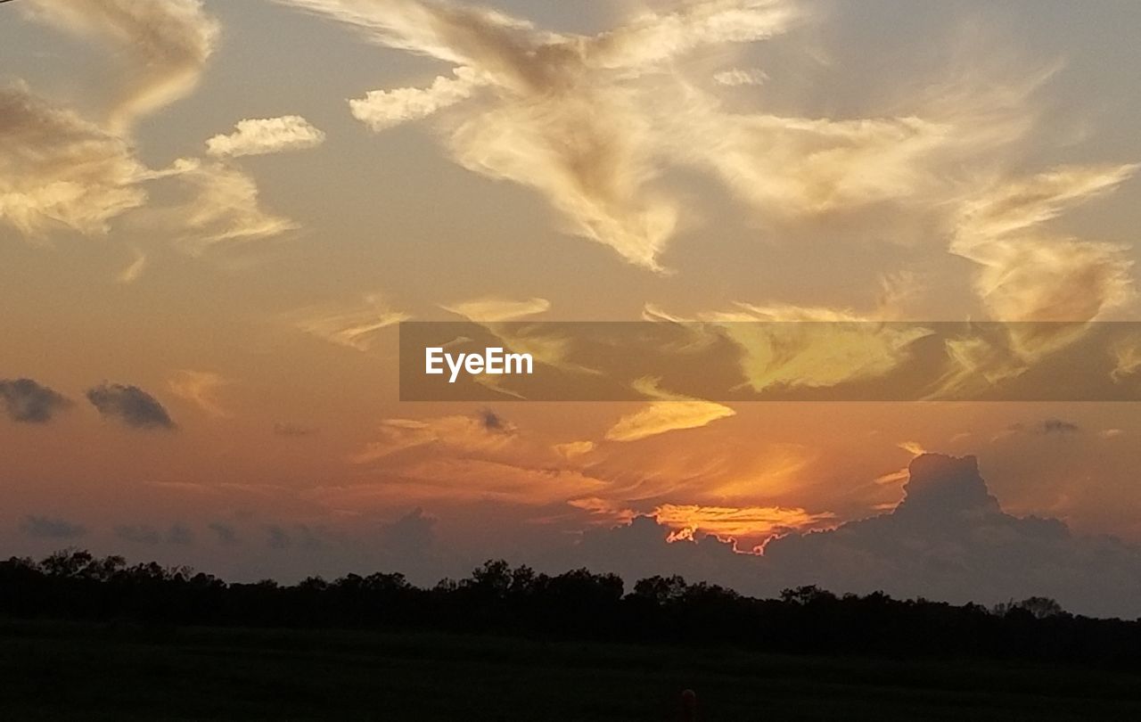 SILHOUETTE TREES ON FIELD AGAINST SKY DURING SUNSET