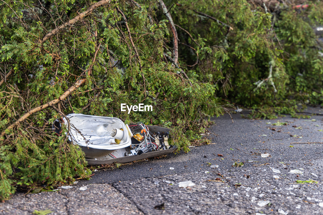 transportation, plant, tree, mode of transportation, day, nature, vehicle, no people, land, growth, forest, nautical vessel, outdoors, road, green, land vehicle, high angle view, wilderness, travel, boat, abandoned