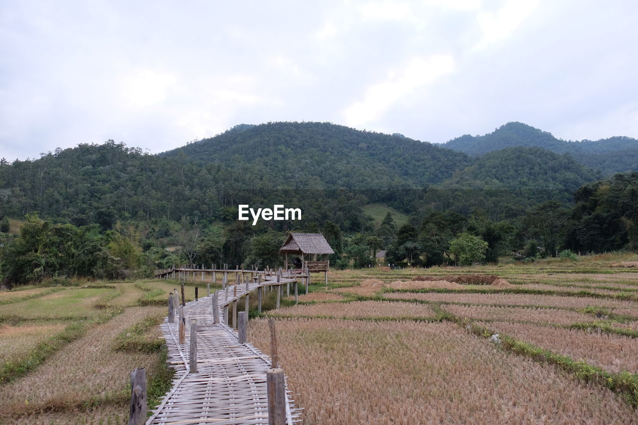 Panoramic view of rural area in chiang mai, thailand.