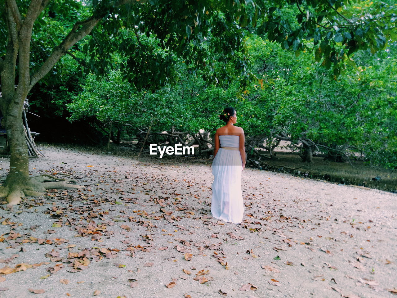 Rear view of woman standing on sand against trees