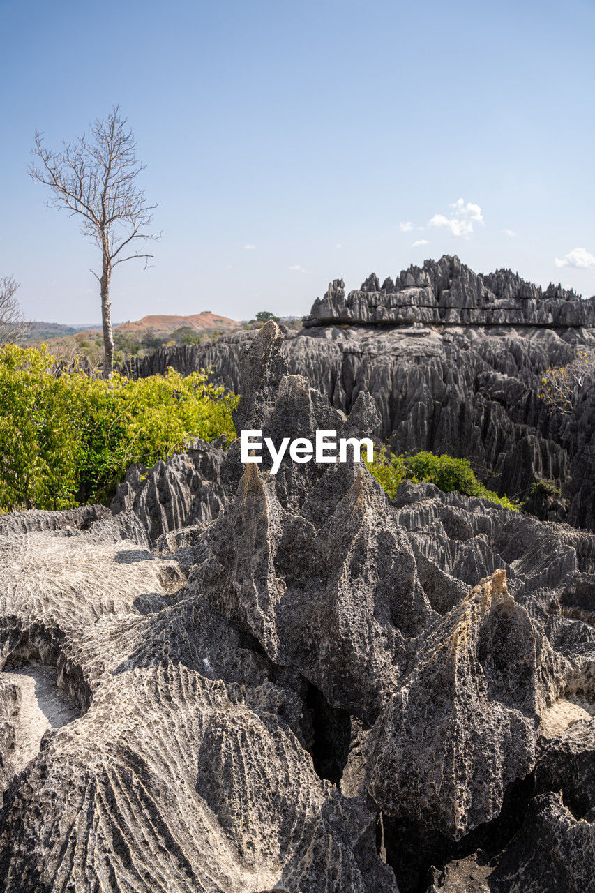 rock, sky, landscape, tree, wilderness, environment, nature, plant, land, geology, mountain, scenics - nature, no people, beauty in nature, non-urban scene, outdoors, travel destinations, pinaceae, clear sky, blue, coniferous tree, tranquility, travel, terrain, forest, pine tree, soil, day, sunny, rock formation, tranquil scene, ridge