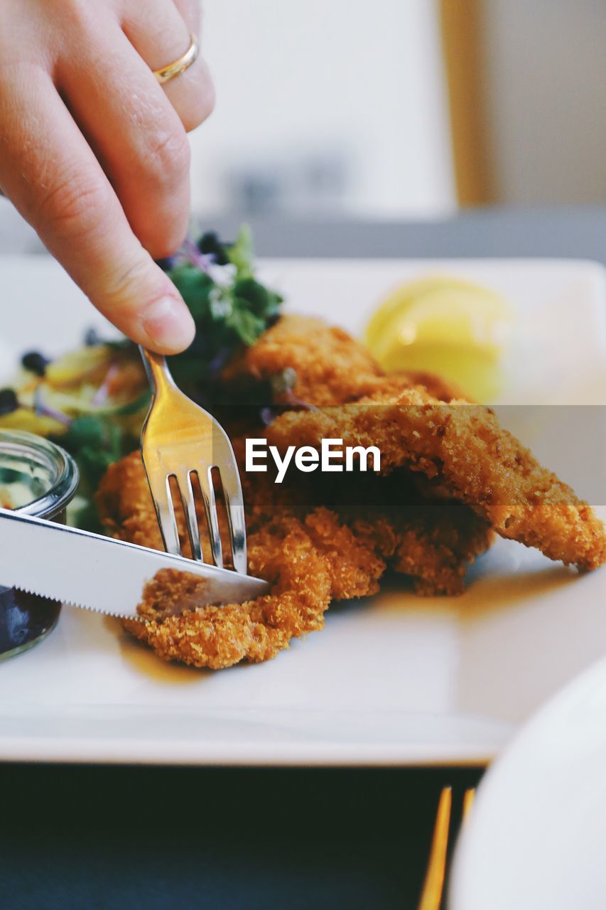 Close-up of hand holding fork and knife cutting a piece of meat in plate