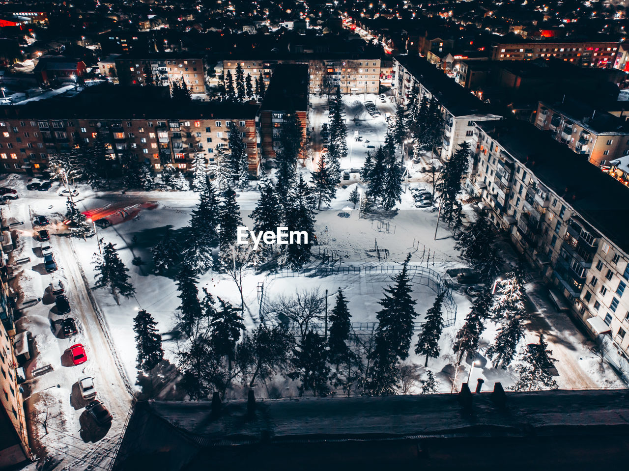 Trees and buildings in city during winter