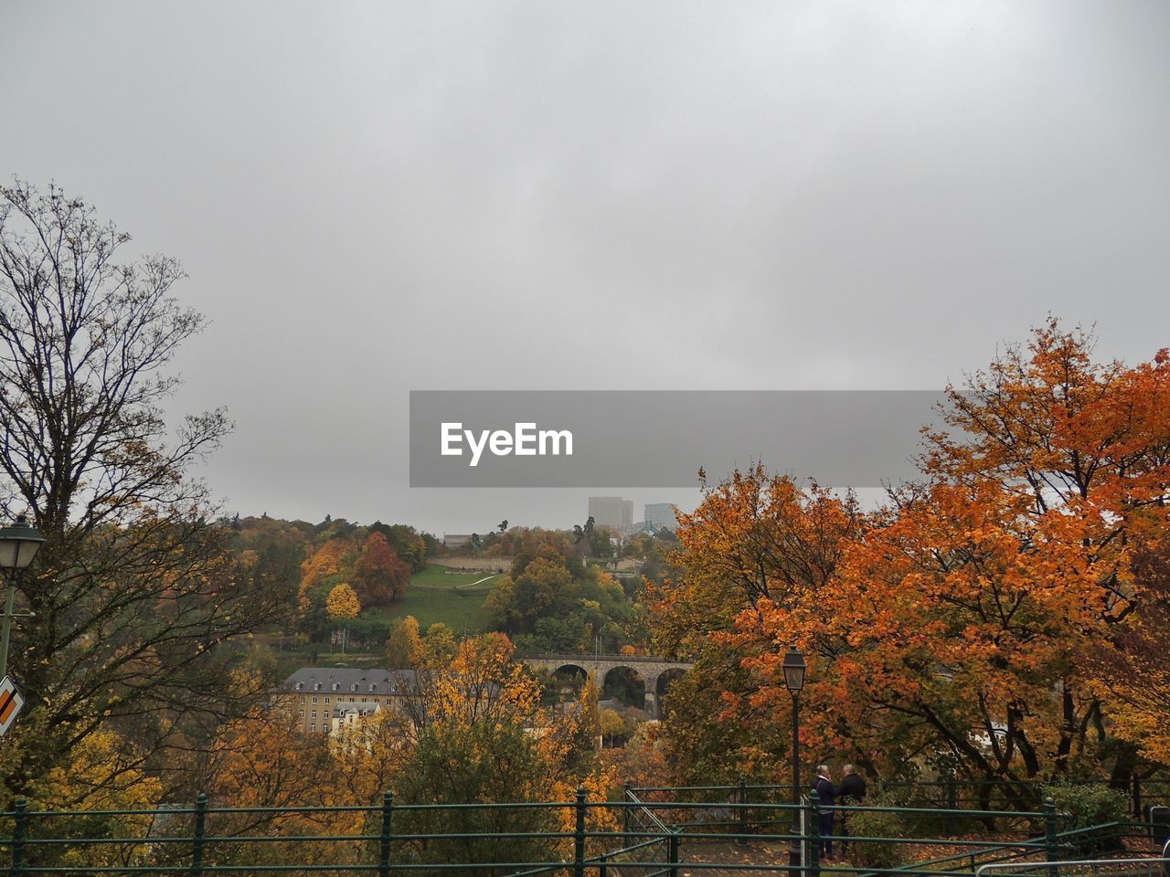 Trees against sky during autumn