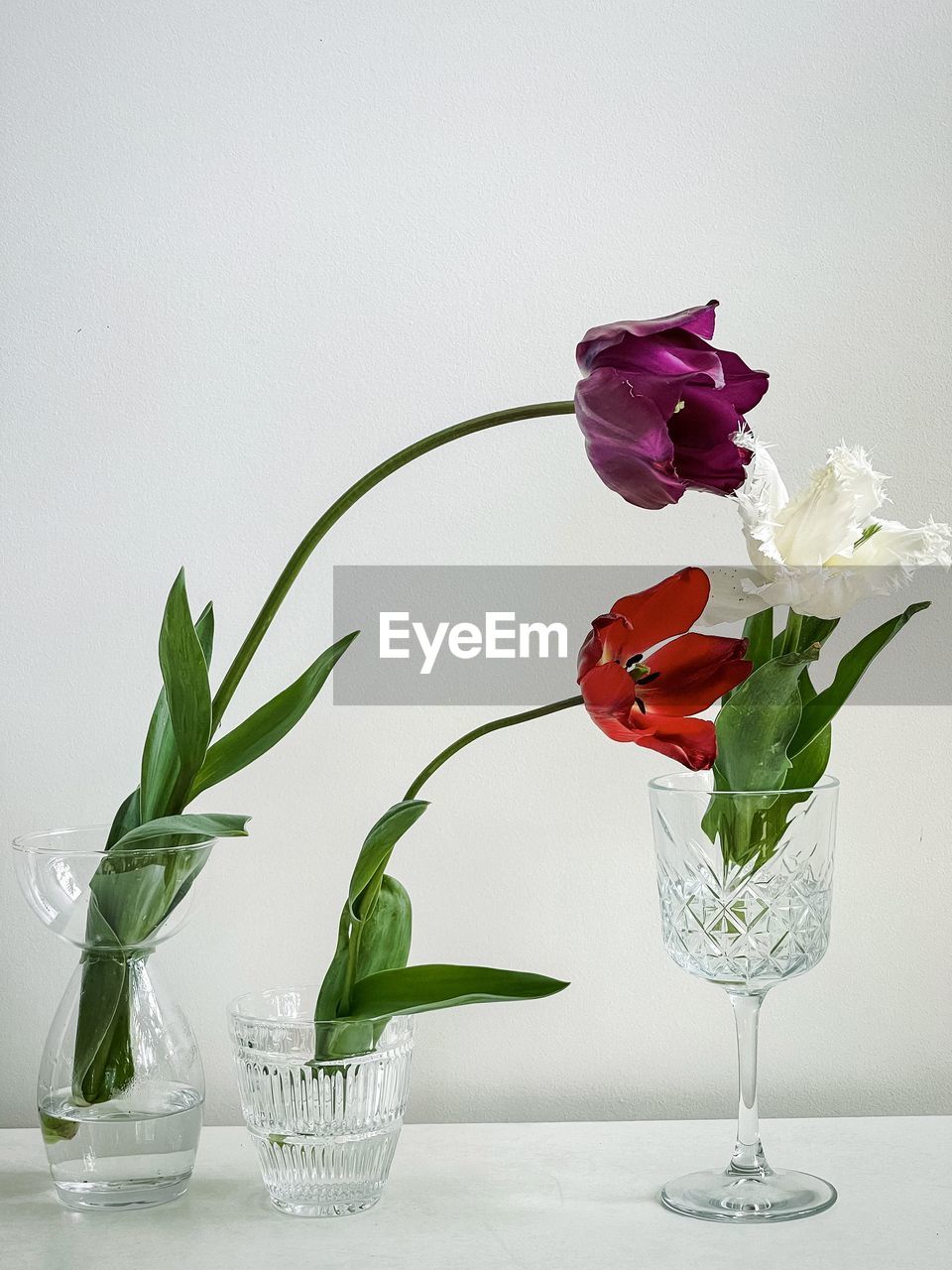 Close-up of three, different colored tulips in glassware on white background.