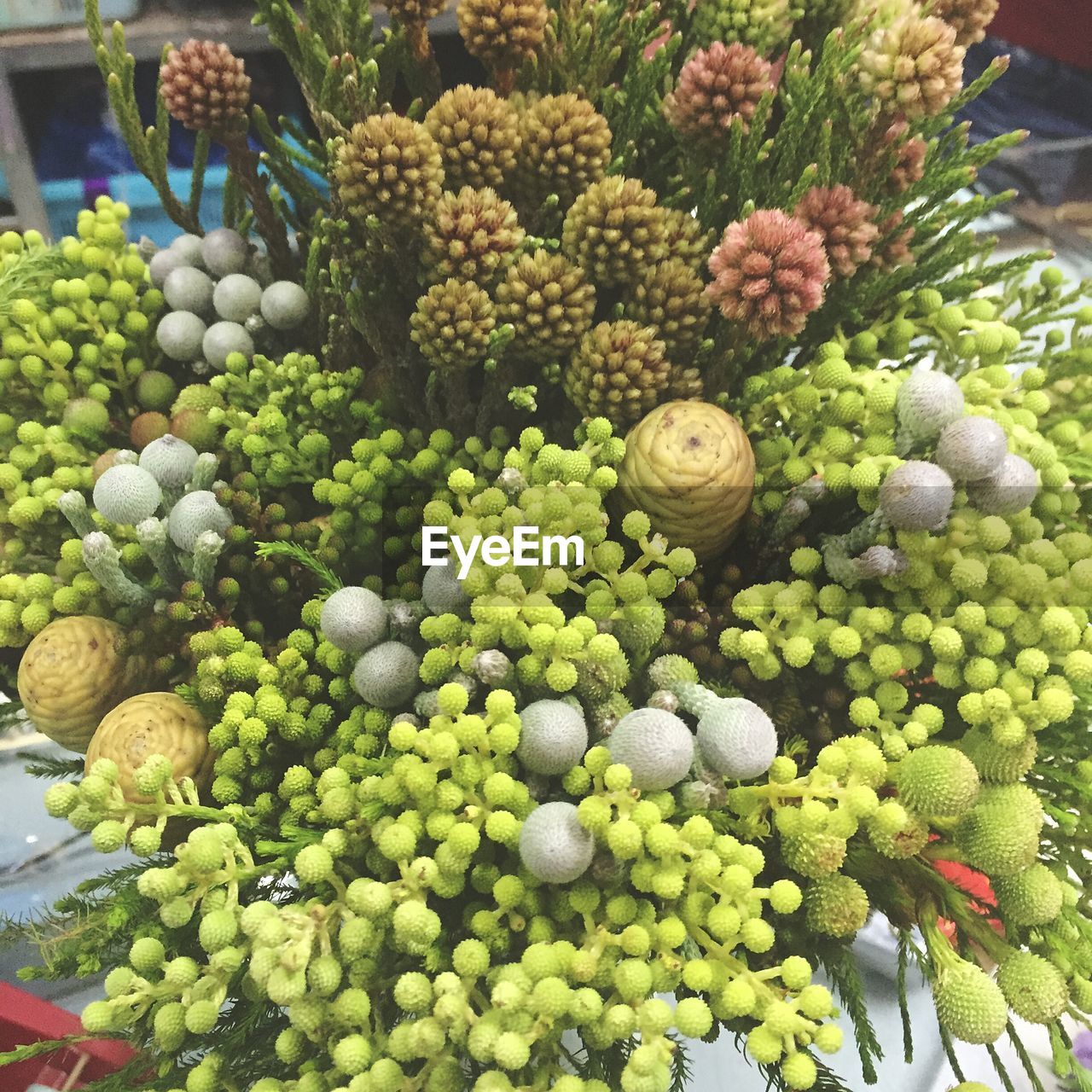 HIGH ANGLE VIEW OF FRESH FRUITS IN MARKET