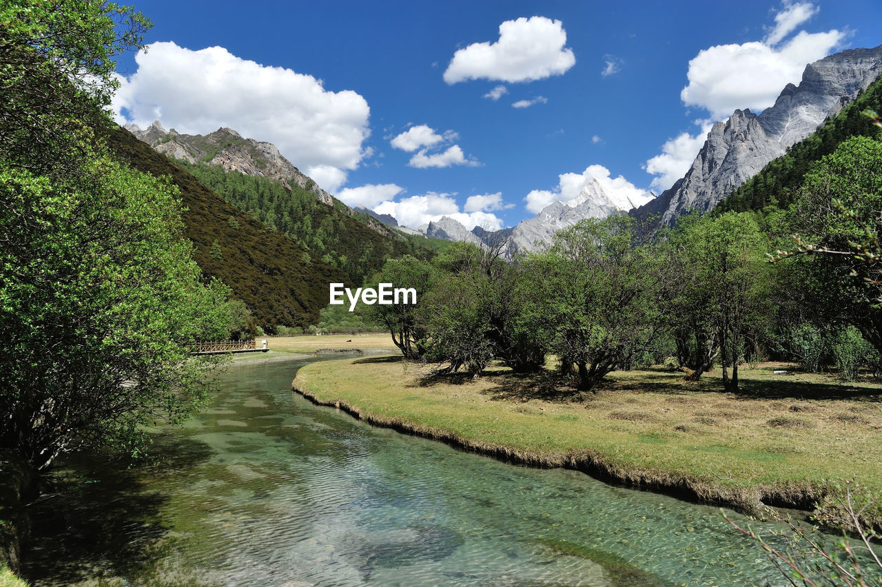 Scenic view of river amidst trees against sky