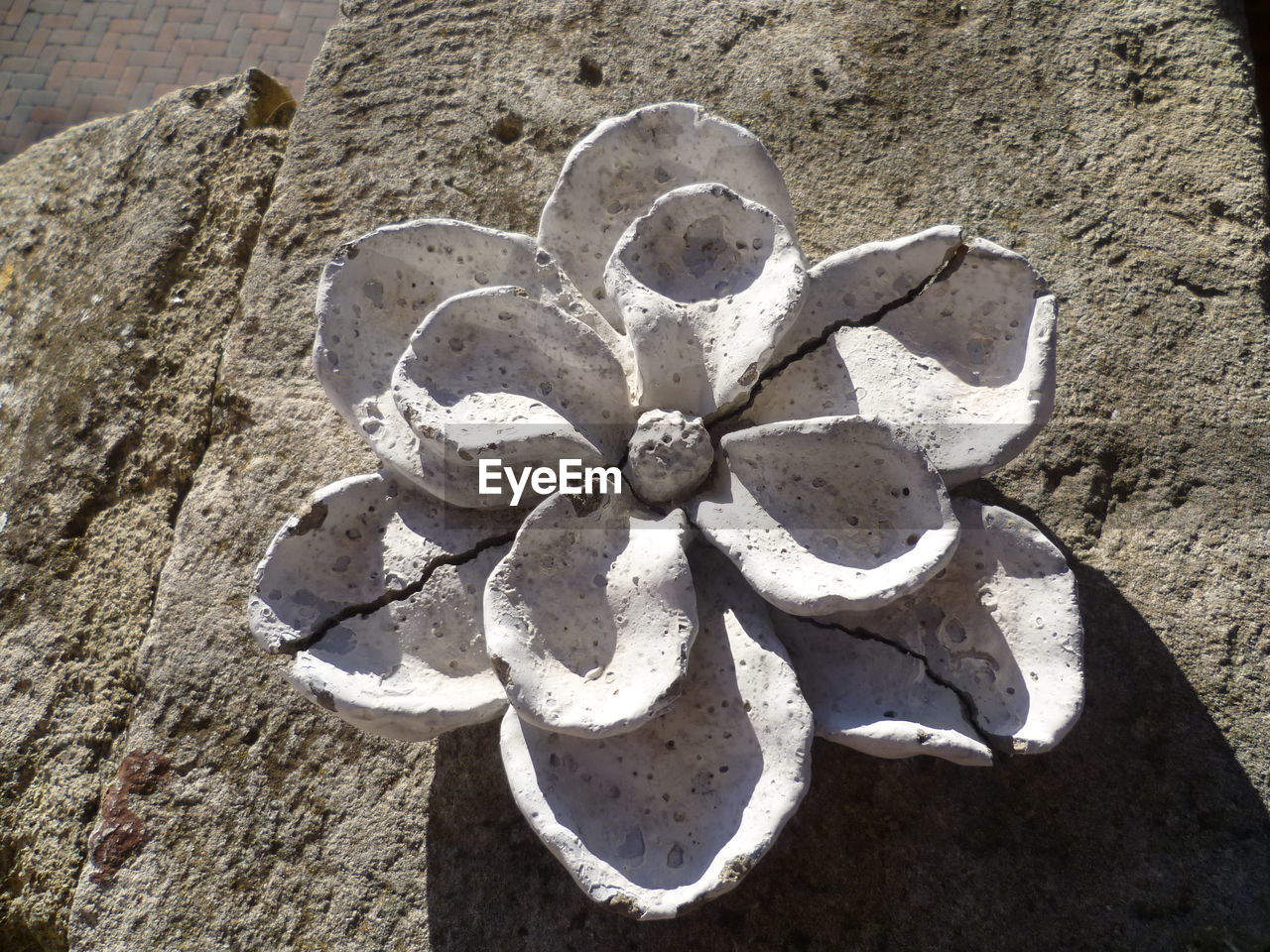 High angle view of clay flower on rock in sunlight