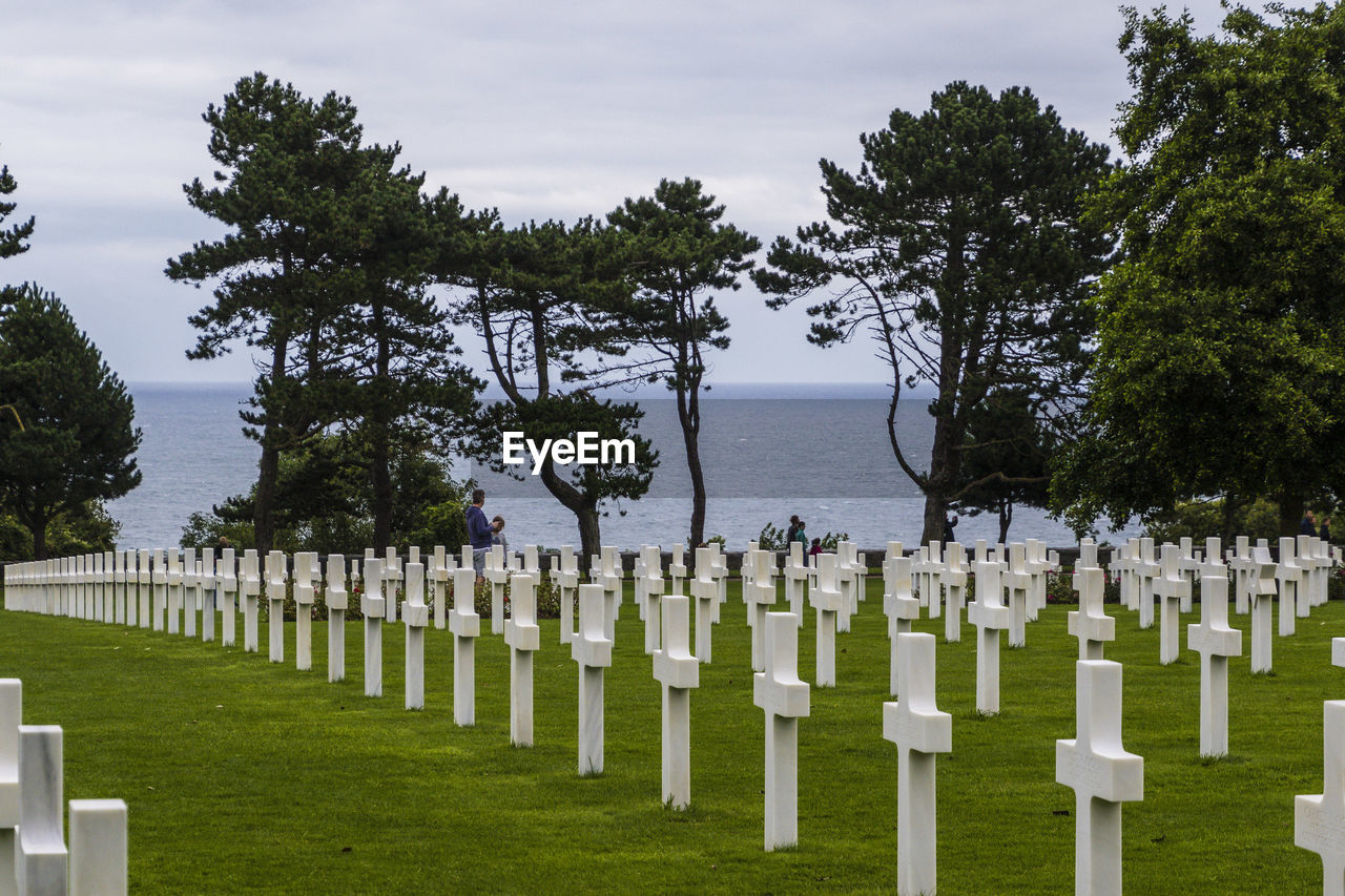 TOMBSTONES IN CEMETERY