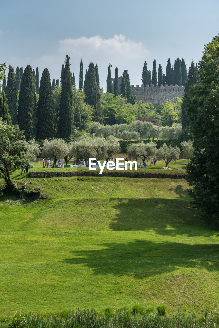 GROUP OF PEOPLE ON FIELD AGAINST TREES AND PLANTS