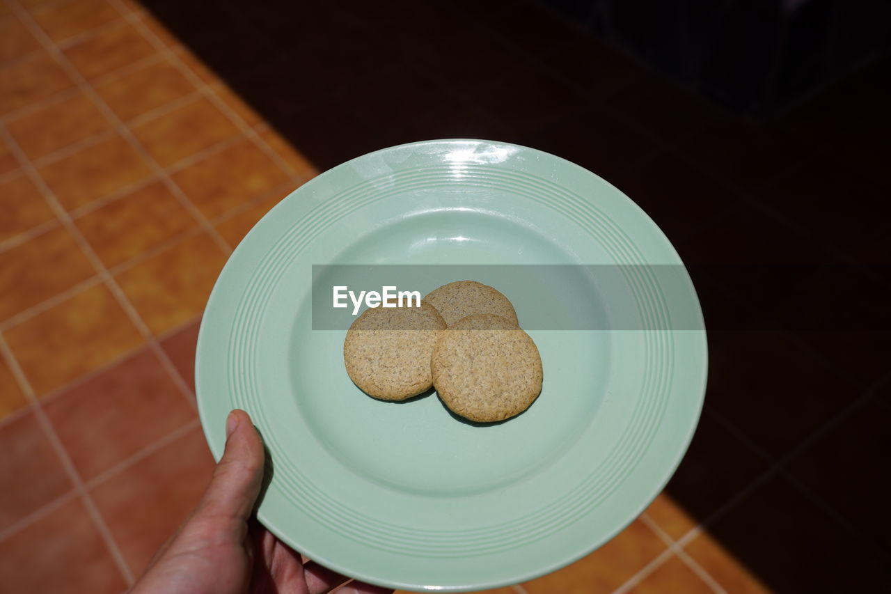 HIGH ANGLE VIEW OF HAND HOLDING COOKIES IN PLATE
