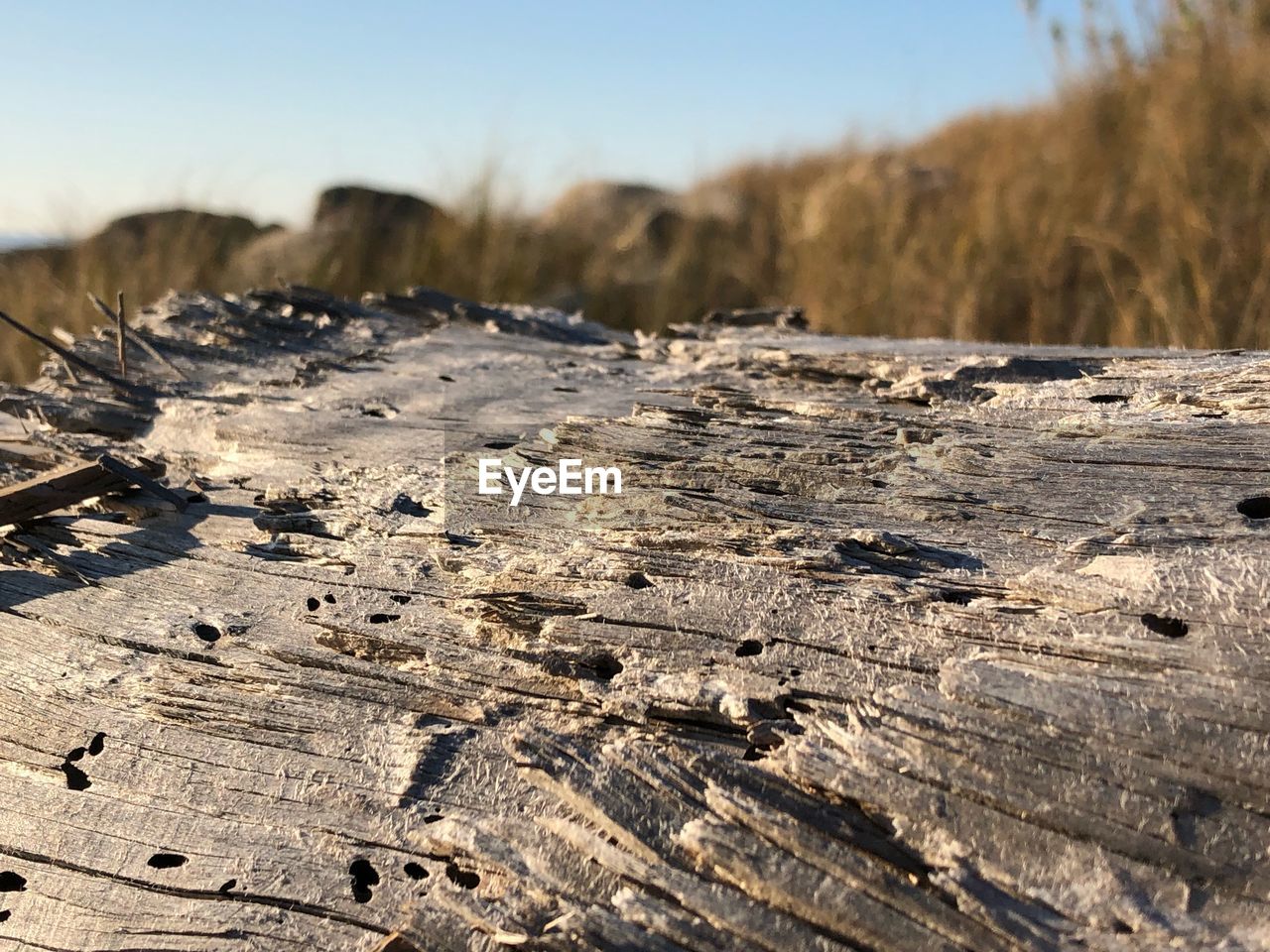 SURFACE LEVEL OF LAND ON FIELD DURING WINTER