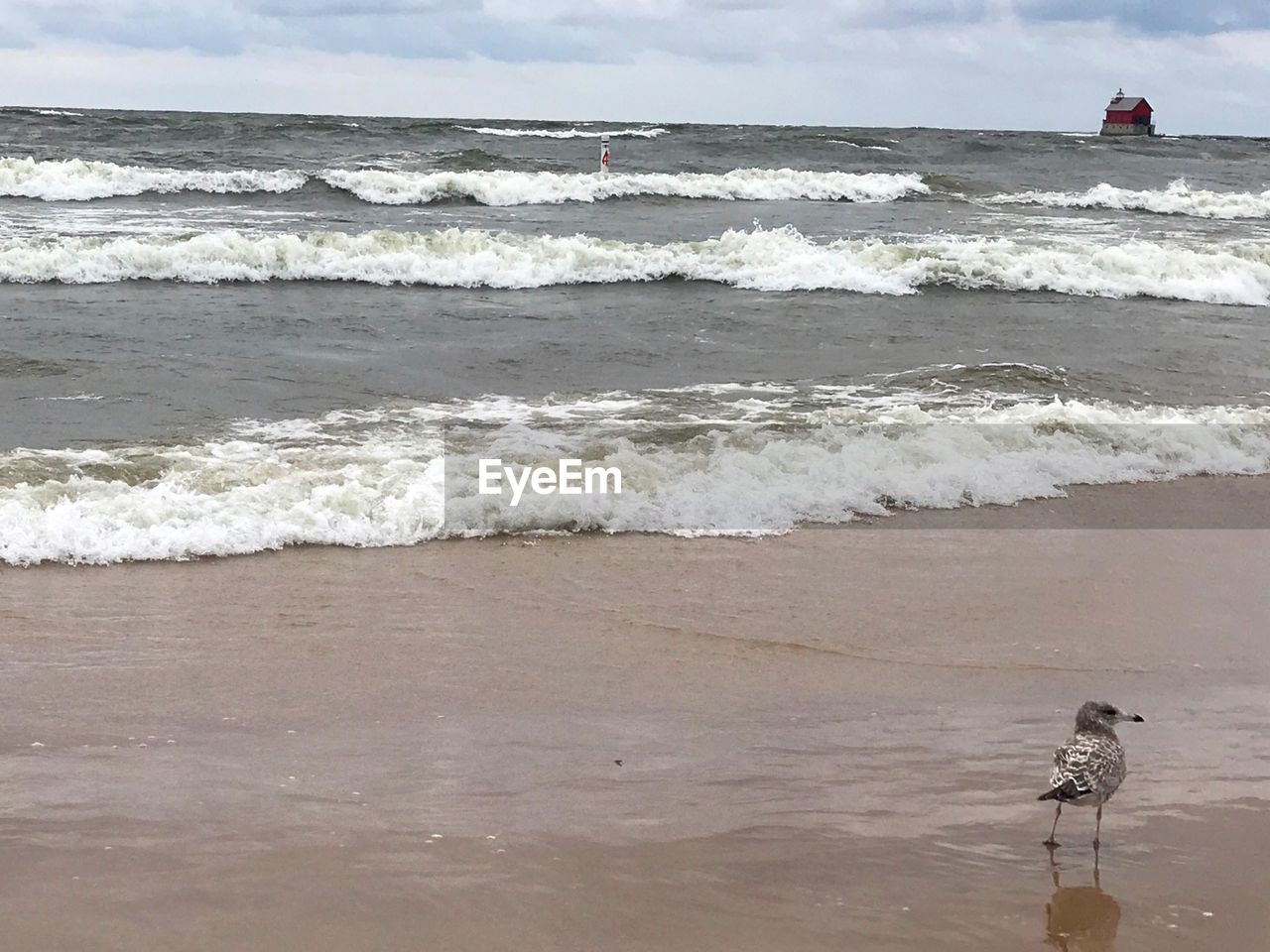 SCENIC VIEW OF BEACH